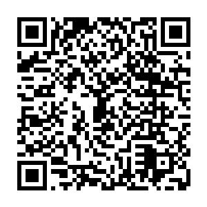 单是教主身上携带的那能够轻松吞噬灭杀海兽和妖兽精血成长进阶的妖植二维码生成