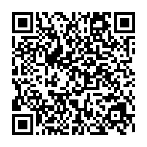 单是这些负面情绪满的让人崩溃的就足足占据了柔钛所有记忆总量的一半还多~二维码生成