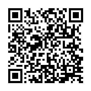 单是这样的两拳就足以要掉一个帝尊三层镜强者的性命二维码生成