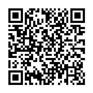 单晴的身影从一笋铁后面悄无声息地半露了出来二维码生成