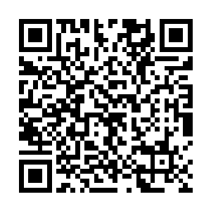 单独以他们自己的力量恐怕根本无法击败那个虚无之花二维码生成