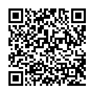 单福一脸平静之色的对着赵虎和另外九名青年男女吩咐道二维码生成