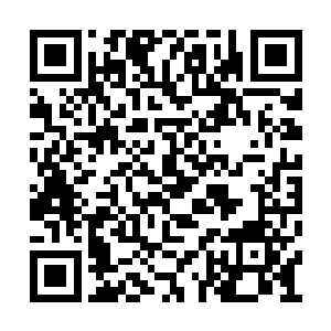 单纯的力量比起阿莫里那样的蛮牛虽然略逊一筹二维码生成