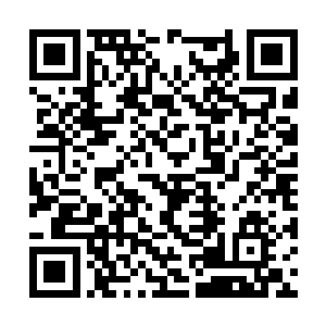 单臂擒刀的苗毅已经浮空漂浮在了姬美眉的不远处二维码生成