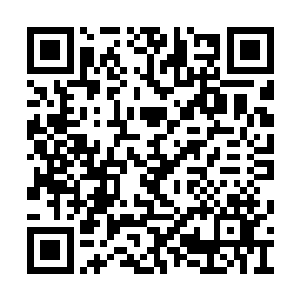 卖家一看到菲尼斯來了　那就知道大生意上门了二维码生成