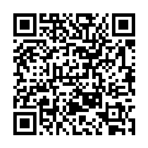 卖药剂的NPC恐怕早就被玩家抢了一遍又一遍了……二维码生成