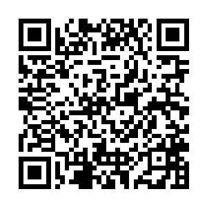 南以轲带着人赶来的时候看见的便是几近靠着夏天萌二维码生成