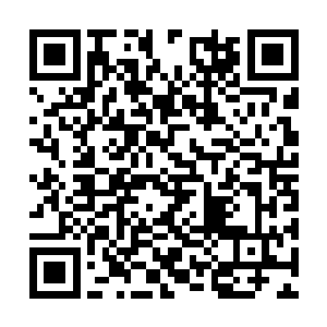 南国广电传媒系的一众媒体也纷纷跳出来鼓吹造势二维码生成