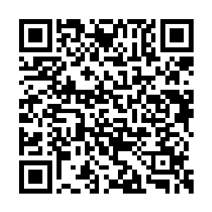 南天先锋大军率先抵达叶家无疆海势力范围外围二维码生成