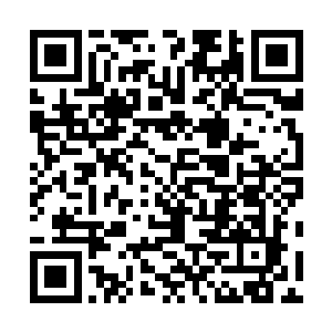 南客根本不指望自己的两个侍女能够对折袖带去任何麻烦二维码生成