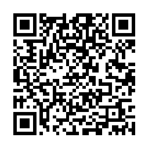 南宫天龙也是取出一颗金色的丹药递给了南宫天狮二维码生成