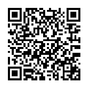 南宫家族的四级武侯一看自家的大少爷这么没胆量二维码生成