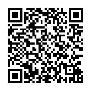 南宫无碍和南宫无垢虽然不明白鬼族为什么会突然间离开二维码生成