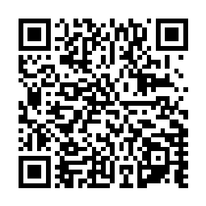 南宫流云一出手灭杀北宗王……他们两个人有这样的实力吗二维码生成