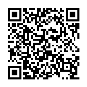 南宫流云任由他那张倾世绝美的脸被捏成了包子二维码生成