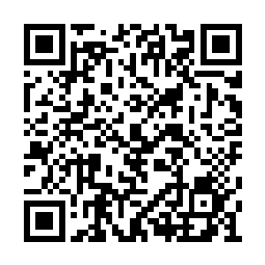 南宫流云和南宫萧然的战斗已经进入白热化阶段二维码生成