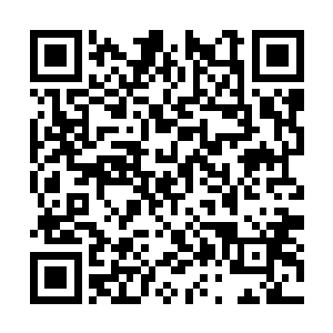 南宫流云怜惜地抚摸着苏落如雪般白皙清透的面容二维码生成