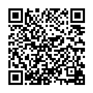 南宫流云目光冰冷的盯着痛苦得跪倒在他面前的魔帝二维码生成