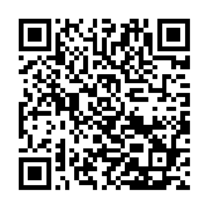 南宫流云那张雍容尊贵的容颜上浮现一抹淡淡的沉凝二维码生成