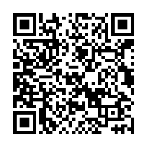 南宫珈芸眼色不善的盯着出来打圆场的林夫人和楚夫人二维码生成