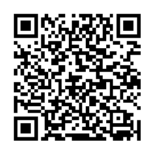 南宫紫月和日月剑宗的亲传弟子莫子言的比赛要开始了二维码生成