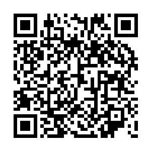 南宫远望自然不敢再动用如当日那般强大的原力二维码生成