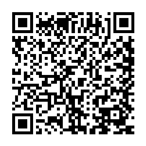 南寻风想不到手里拎着的这个小丫头竟然就是云起舞时常说的小紫二维码生成
