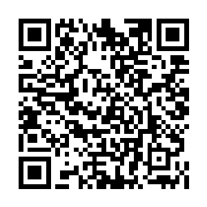 南寻风最后并没有跟着云起舞一起去见南莲公主二维码生成