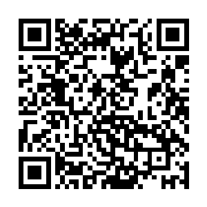 南寻风没打算让任何一个出现的千机楼弟子活着离开二维码生成