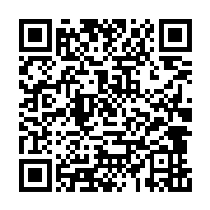 南寻风看到一点绿光从青木首领的身体里飞出来二维码生成