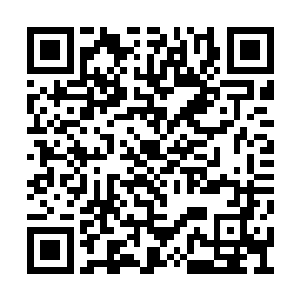 南山中学附近陆续发生了好几起学生遇袭的事件二维码生成