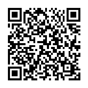 南希小姐就主动以赠与的方式给了这些人一笔应有的遣散费二维码生成