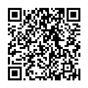 南方公园公园里的角色虽然在某些时候能做出很逆天的举动二维码生成