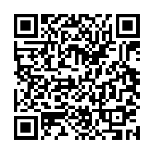 南方巫师联盟就在珍珠六港建立了强大的奥术防御系统二维码生成