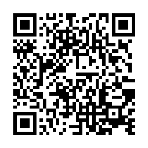 南方巫师联盟顶尖巫师手里应该有机械石像鬼的制作图纸二维码生成