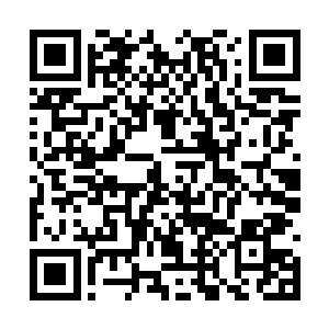 南方的海商进献的珍宝在大宋的国库里被老鼠欣赏二维码生成