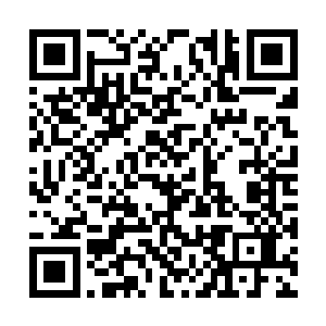 南方的草原上那道连绵数百里的山影无比巍峨壮观二维码生成