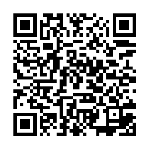 南门大军想不出这世上还有谁能让杨开受这样的伤势二维码生成