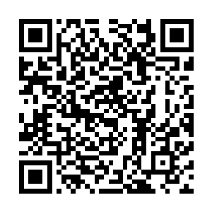 南门静姝一门心思用在城主身上……其实是一点用都没有的二维码生成