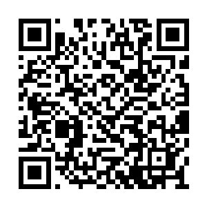 南龙帮……十几个分舵在一个小时全部被人端掉二维码生成