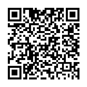 博思和可嘉发现他们穷得连当的东西都找不出来了二维码生成