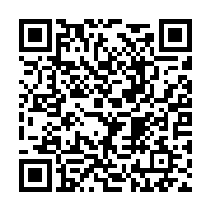 博迪宰相亲自带着霍普纳茨先生参观了哈德斯皇宫二维码生成