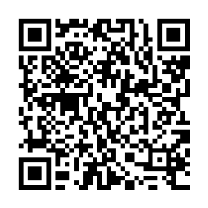 卞梓宁再是不懂事也知道这是陆为民在想办法帮自己和麹娅二维码生成