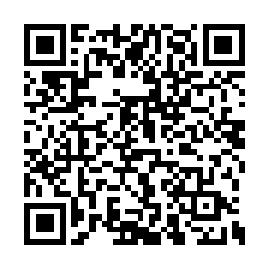 占地面积估计比雨果的马里布别墅还要更大一些二维码生成