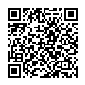 卡卡和小穹也因为好奇而凑近的脑袋登时就撞在了一起二维码生成