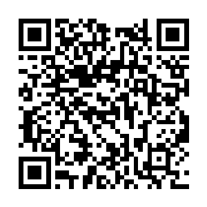 卡卡和小穹立刻将自己放在天花板上的眼神拉回来二维码生成