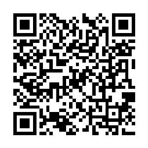 卡奴基斯的眼中却根本没有去理会眼前的欢迎阵势二维码生成