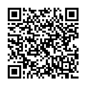 卡奴基斯还是虎啸天无一例外的全部住在伊丽莎白医院之中二维码生成