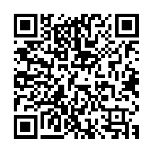 卡森两三下就脱掉了大裤衩露出了里面的小泳裤然后跨过了栏杆二维码生成
