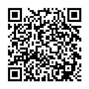 卡瓦的原料来自一种在南太平洋岛国上广泛生产的胡椒科灌木二维码生成